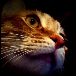 Meet your Posher, Michaela